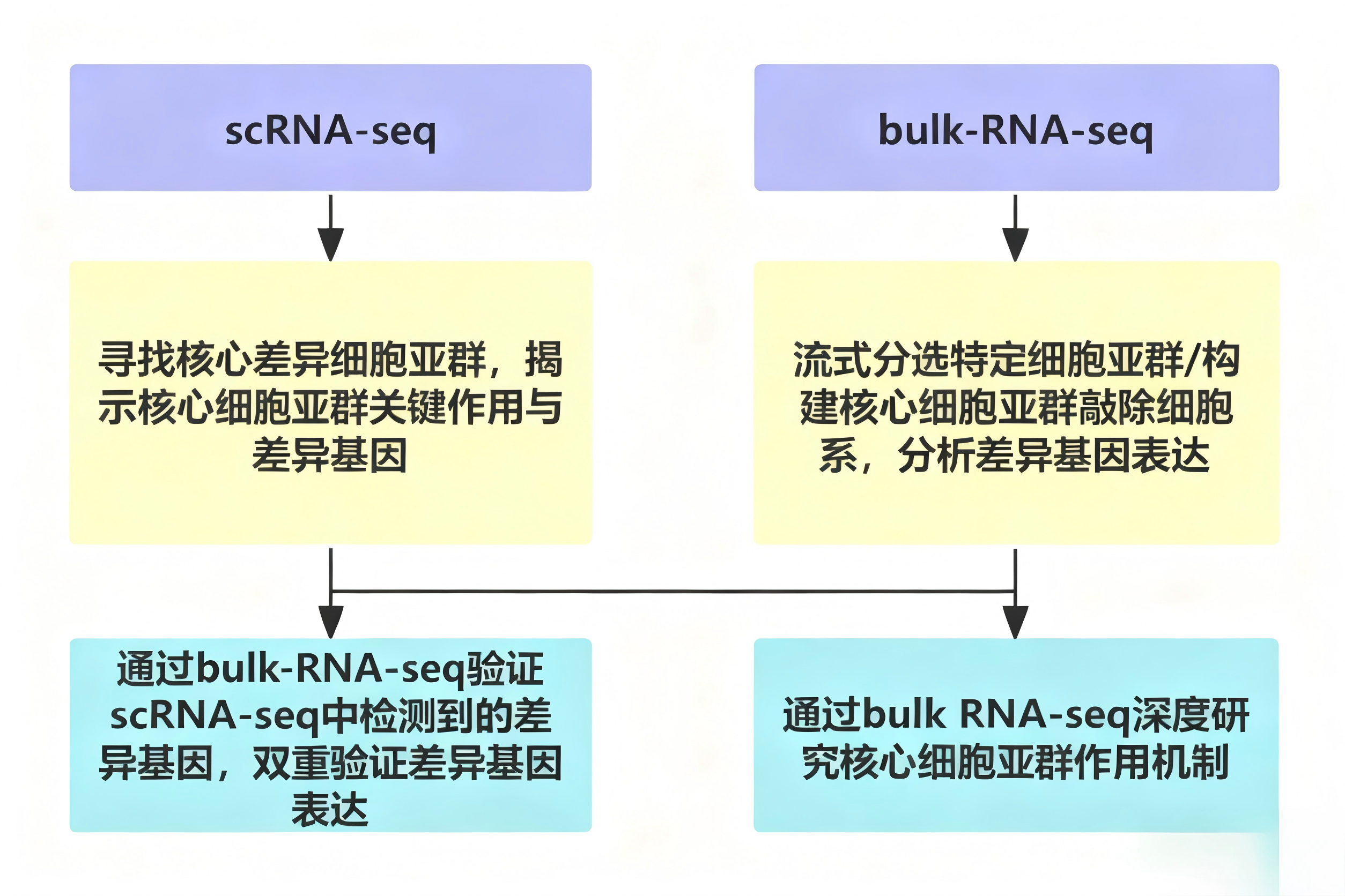 新闻图片3