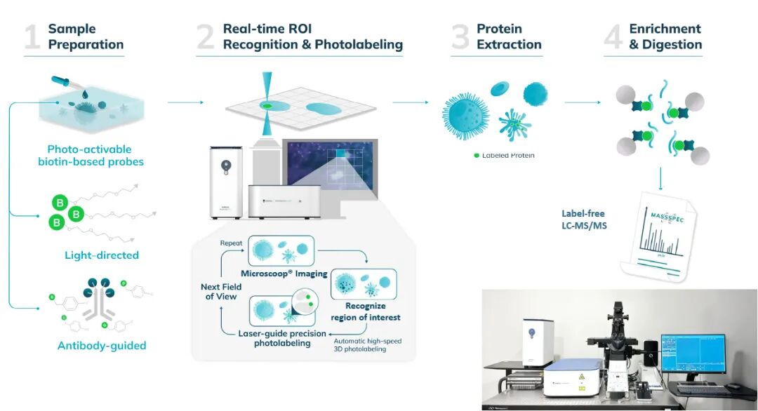 非假设驱动的空间蛋白质组学新突破：显微光标记技术全景解析初级纤毛蛋白质组