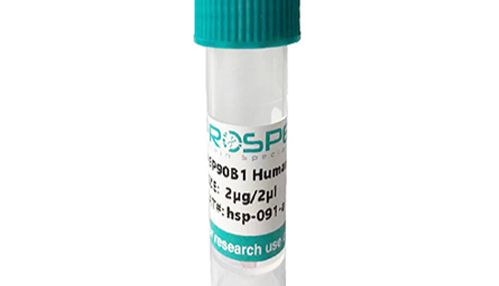 精准赋能科研，解锁生命奥秘 -ProSpec 人绒毛膜促性腺激素（hCG）蛋白