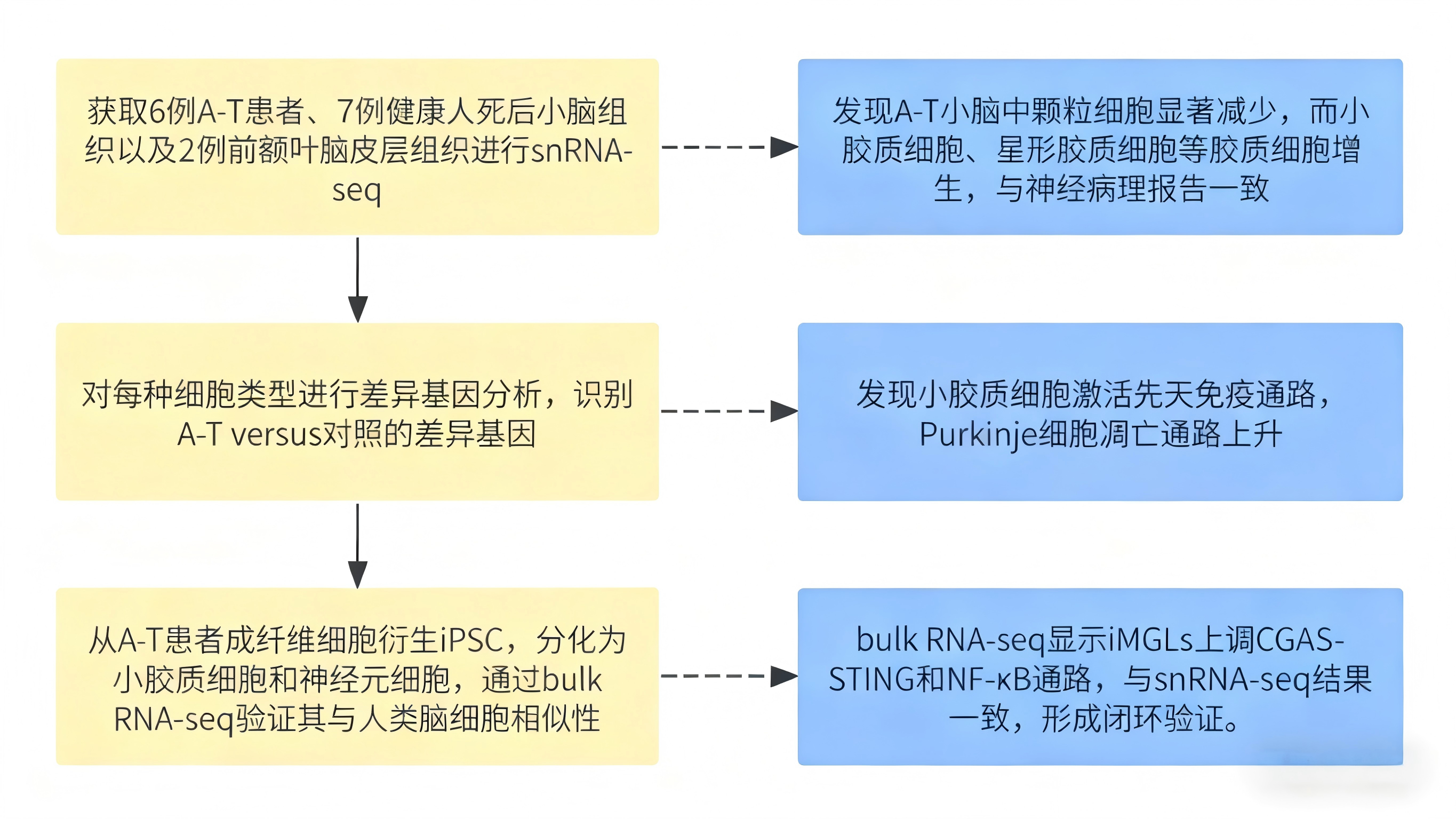 新闻图片4