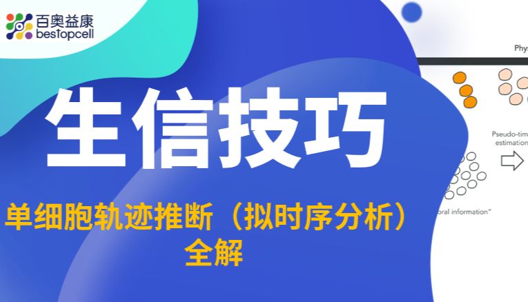 生信技巧 | 穿越时空的“时光机”：单细胞轨迹推断（拟时序分析）全解