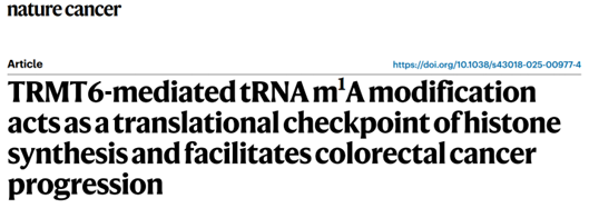 IF=28.5丨靶向TRMT6-tRNA-组蛋白轴：结直肠癌治疗的新视角