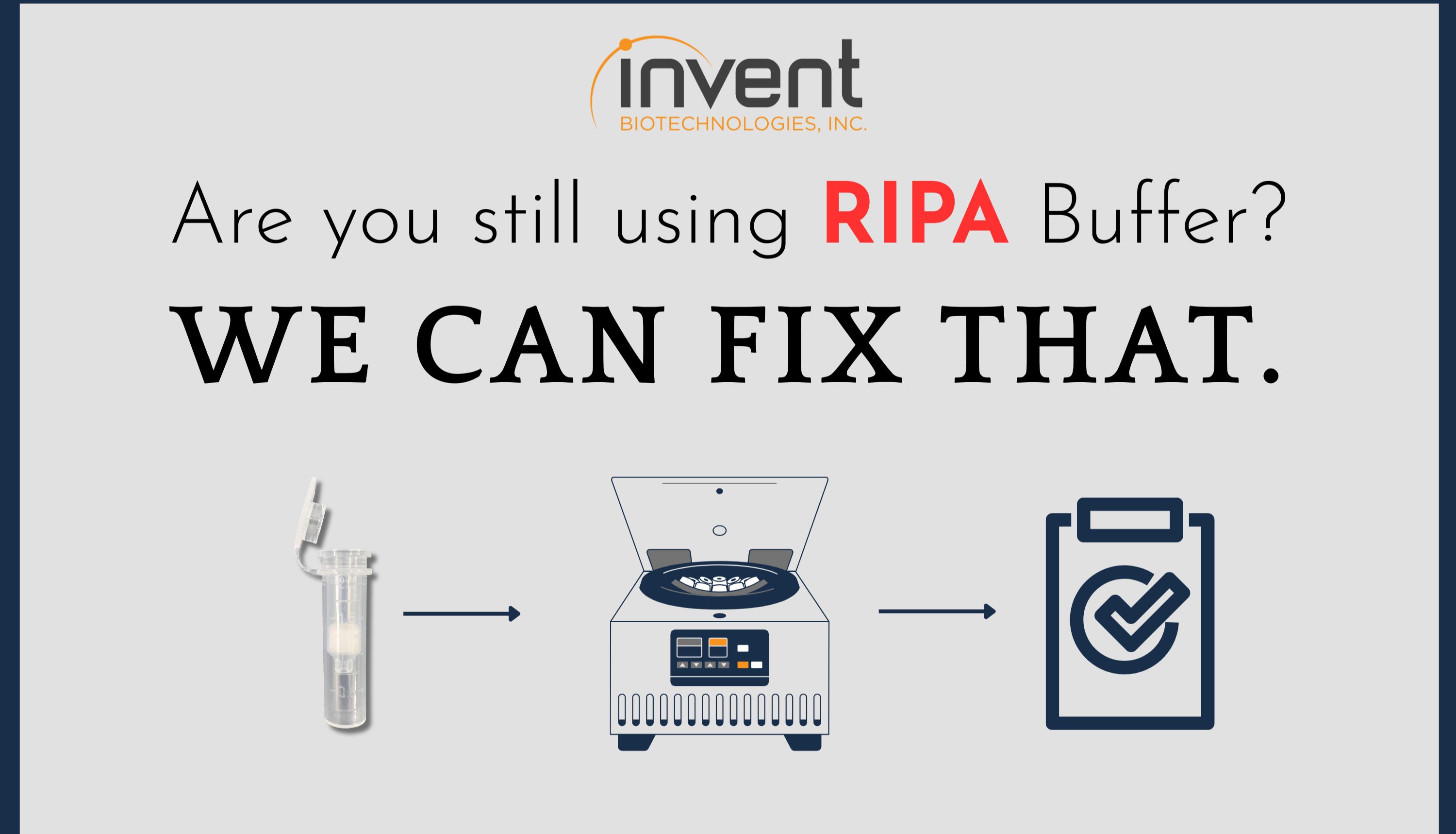 这一次，拒绝RIPA“玄学”，让组织样品WB回归科学！