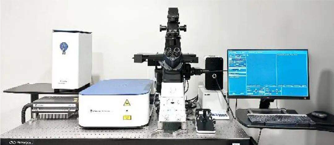 空间蛋白质组学研究新范式：全面的亚细胞区室蛋白质“普查”