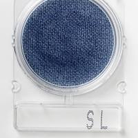 Compact Dry SL (Compact Dry SL沙门氏菌检测板) 