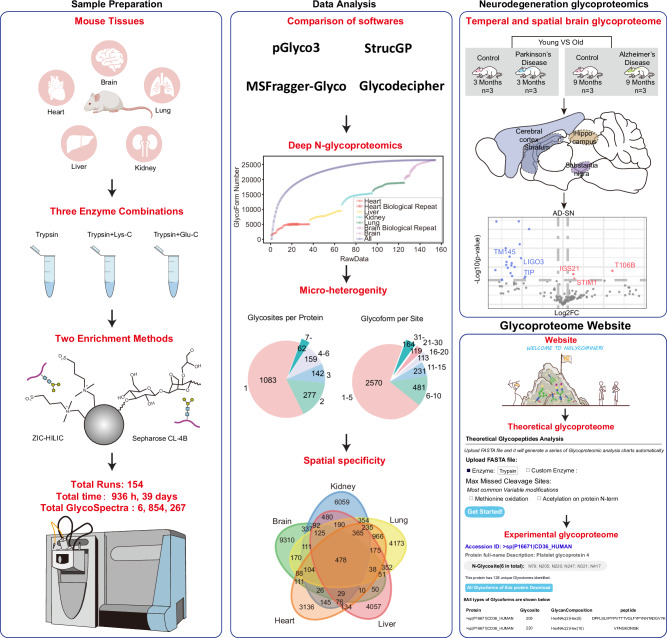 2025年度盘点 | 修饰组学：技术升级赋能精准医疗