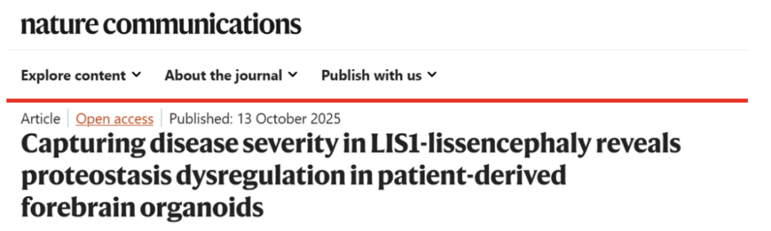 Nature Communications |类器官模型突破：揭示无脑回畸形严重程度差异的关键机制！