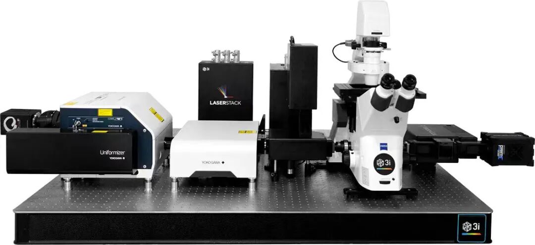 3i转盘共聚焦显微镜研究案例分享——免费测样活动火热进行中！