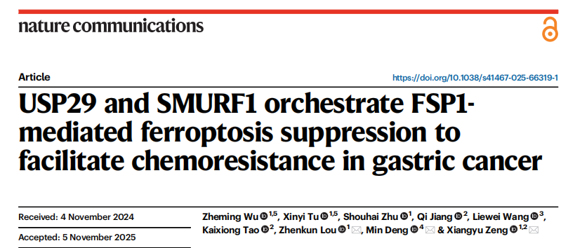 去泛素化专题|《Nature Communications》（2025IF：16.6，JCR Q1）解读：USP29-SMURF1-FSP1 轴通过铁死亡抑制驱动胃癌化疗耐药