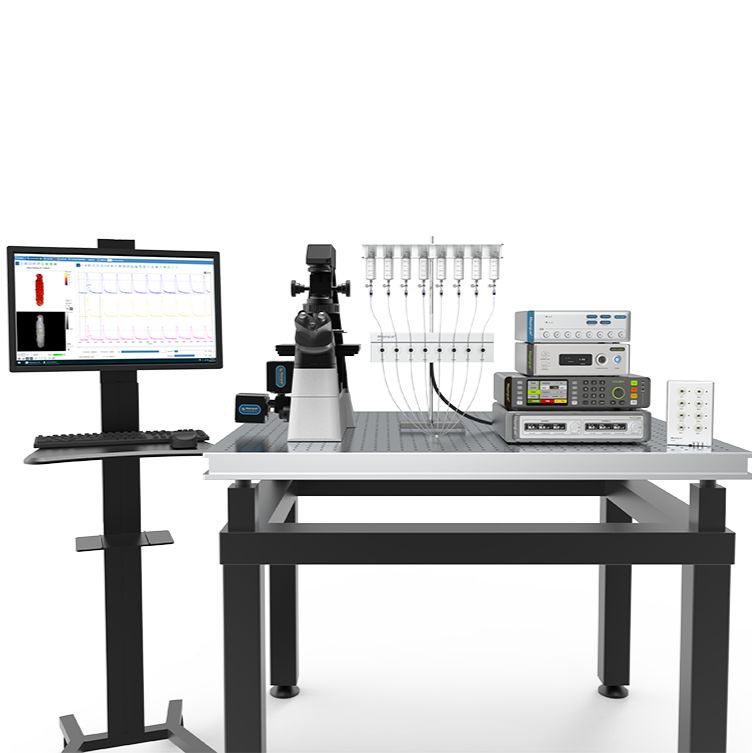 细胞收缩与钙成像标测系统