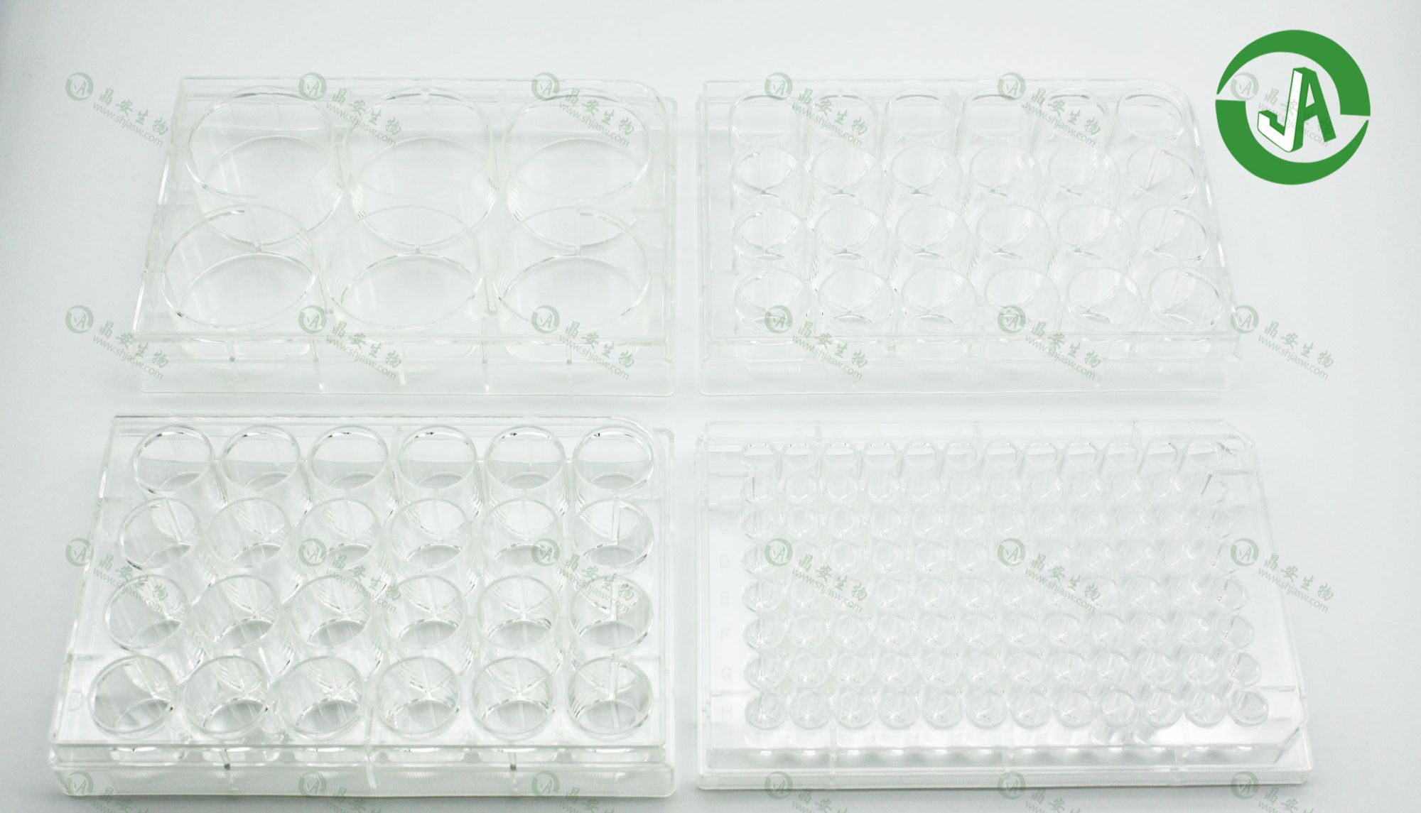 上海晶安生物6孔12孔24孔48孔96孔I型IV型胶原蛋白包被平底微孔板