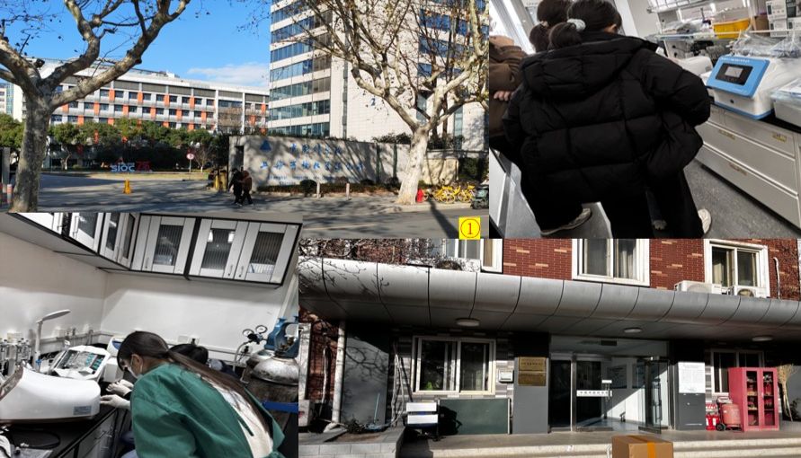 中科院采购北京基尔比Kirkstall QV类器官串联芯片系统