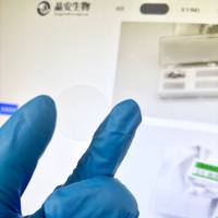 上海晶安生物Fibronectin纤连蛋白包被的盖玻片12mm14mm20mm