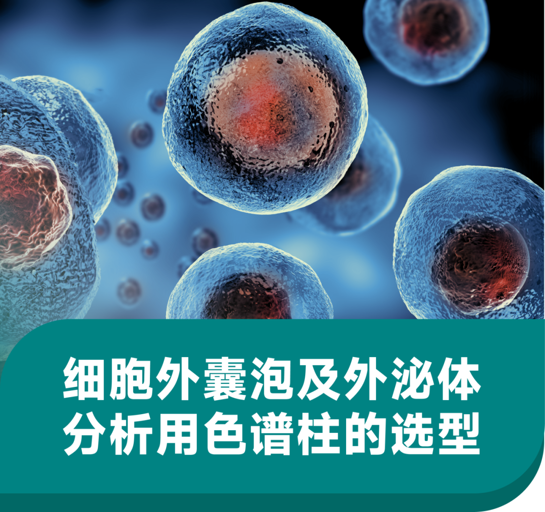 细胞外囊泡及外泌体分析用色谱柱的选型