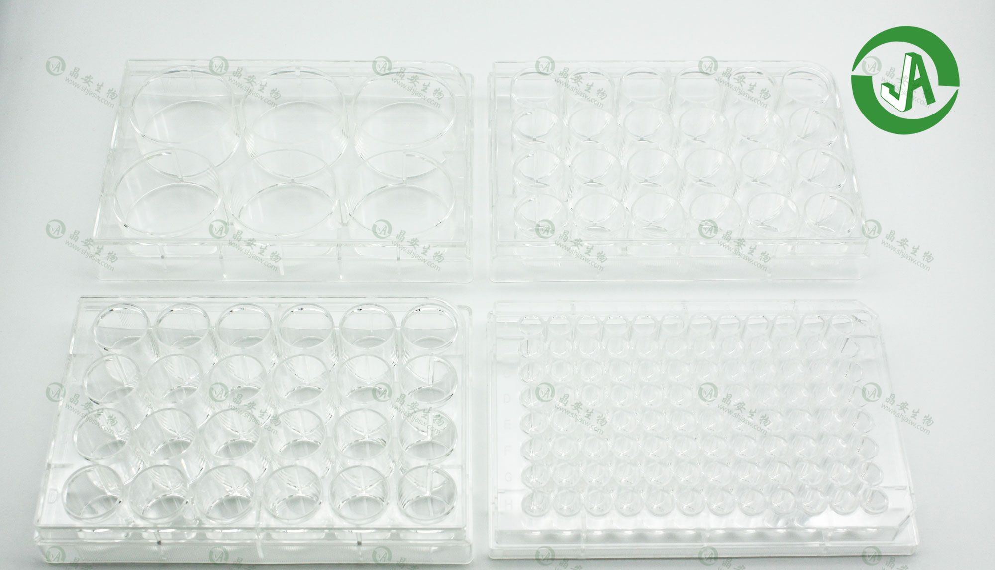 上海晶安生物纤连蛋白Fibronectin包被6孔12孔24孔48孔96孔培养板