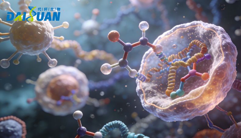 WB、IF、FC、ELISA、IP、IHC怎么选？一文讲透六大蛋白检测技术