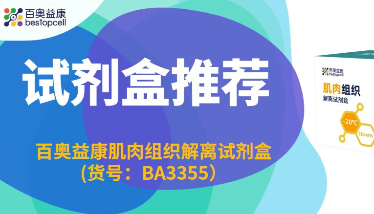 试剂盒推荐 | 百奥益康肌肉组织解离试剂盒（货号：BA3355）