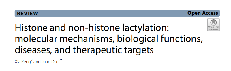 乳酸化修饰专题|《Molecular Biomedicine》解读：组蛋白与非组蛋白乳酸化：代谢调控与疾病关联的全景解析