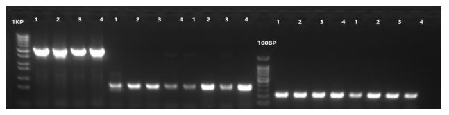 产品细节图片12