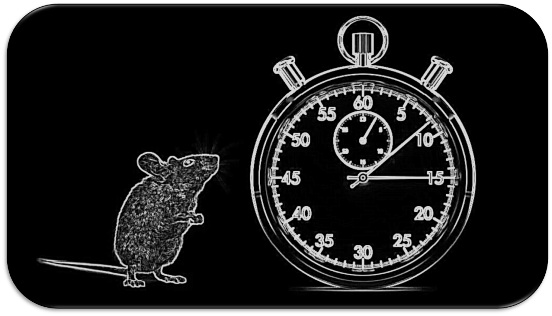 DVC科研应用之昼夜节律研究