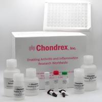 麦谷蛋白检测试剂盒 Glutenin Detection Kit