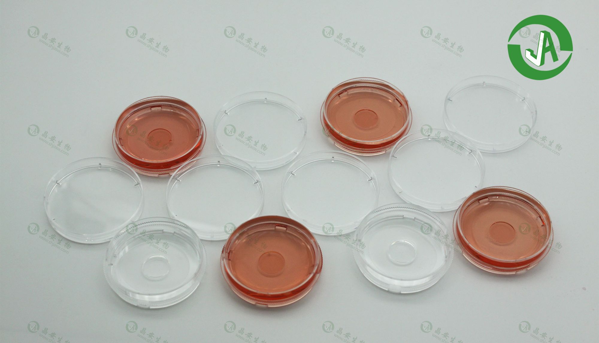 上海晶安生物悬浮细胞免疫荧光专用共聚焦小皿（多聚赖氨酸包被35mm玻底皿）