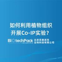 如何利用植物组织开展Co-IP实验?