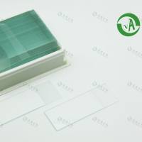 上海晶安生物I型IV型鼠尾胶原蛋白包被的载玻片75x25mm