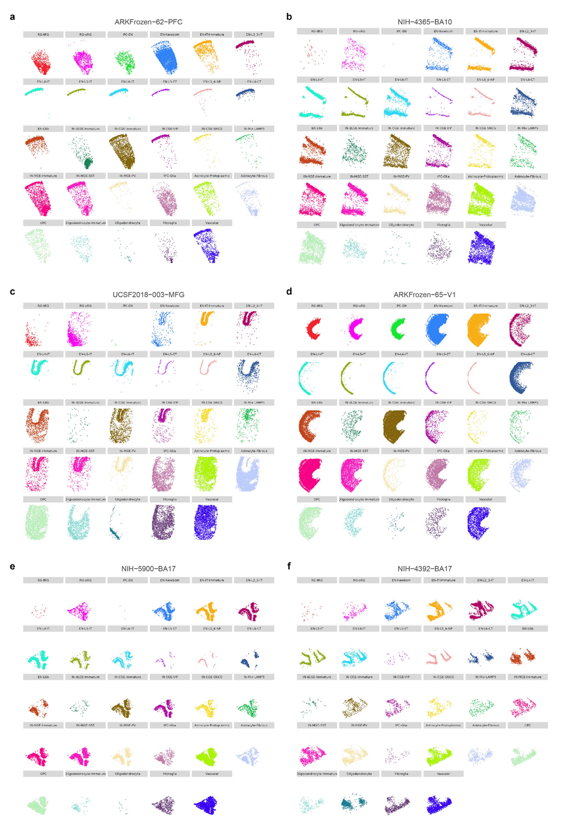 图7. 六个新皮质样本