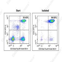 CD4⁺ T细胞分选总被激活？Elabscience人CD4+T细胞阴性分选试剂盒，0抗体接触，保留天然状态！