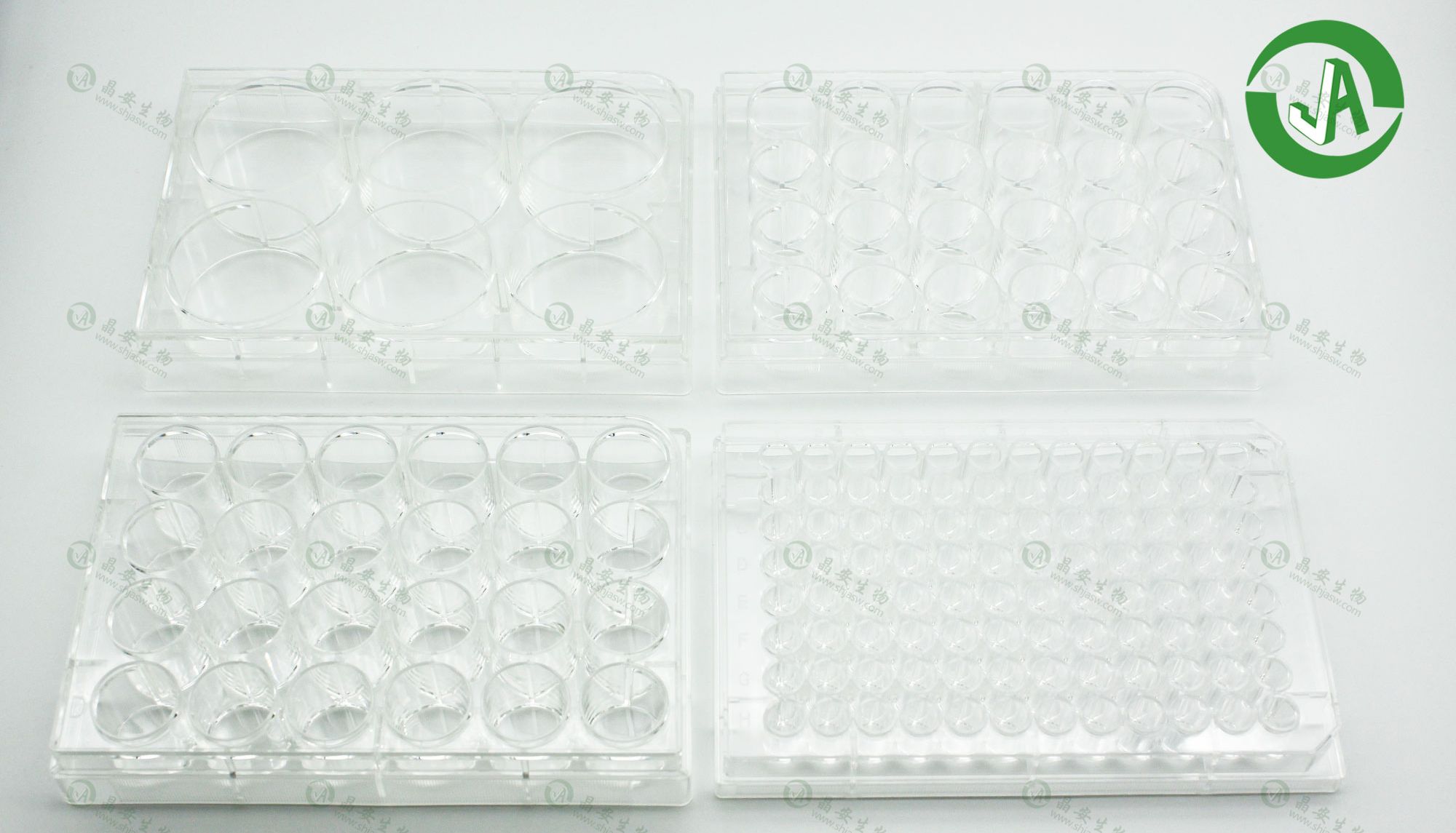 上海晶安生物多聚赖氨酸PLL包被细胞培养板/细胞培养皿/细胞培养瓶