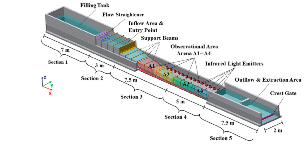 生死时速：看鱼类如何在不同流速区中求生？