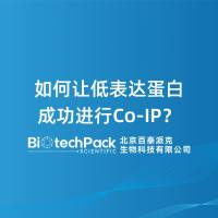如何让低表达蛋白成功进行Co‑IP？