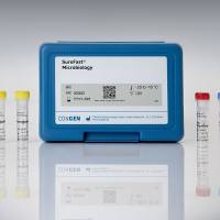 SureFast® EHEC/EPEC 4plex (SureFast® EHEC/EPEC 4重检测试剂盒) 