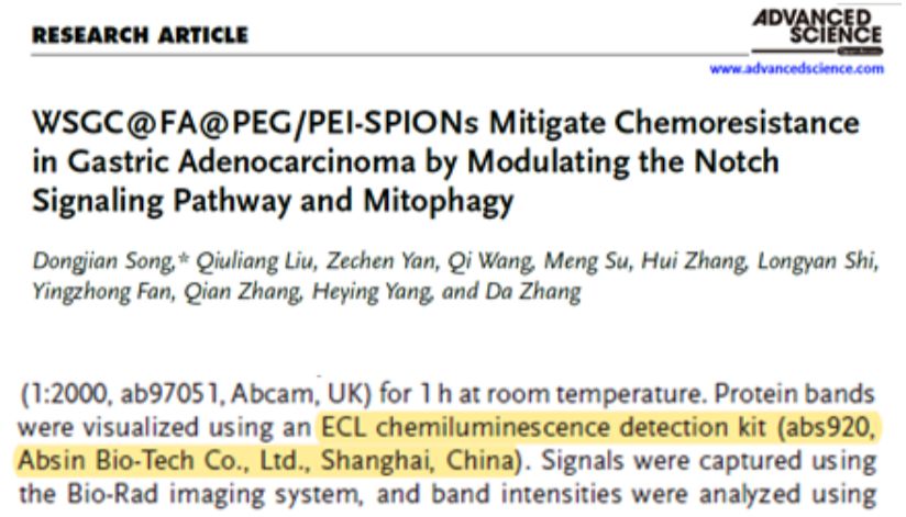 【IF 14.1】突破胃癌化疗耐药！WSGC纳米递药系统靶向Notch-线粒体自噬轴