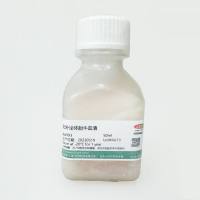  Absin 无外泌体胎牛血清名称：无外泌体胎牛血清 abs993-50ml 