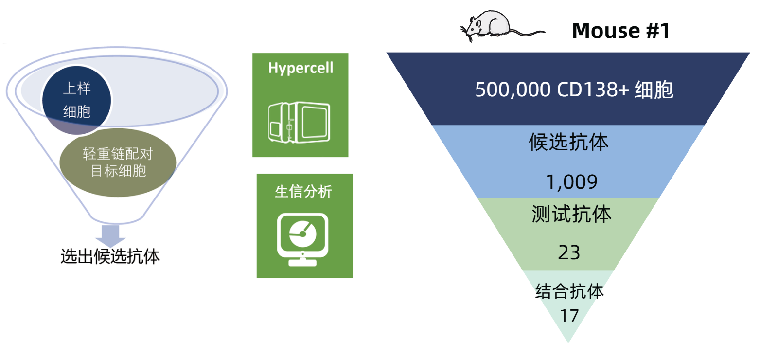 棘手靶点难突破？基于单B细胞的抗体发现Hypercell系统解锁抗体高亲和力和强多样性密码 - 企业动态 - 丁香通