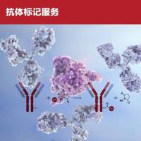 抗体标记服务
