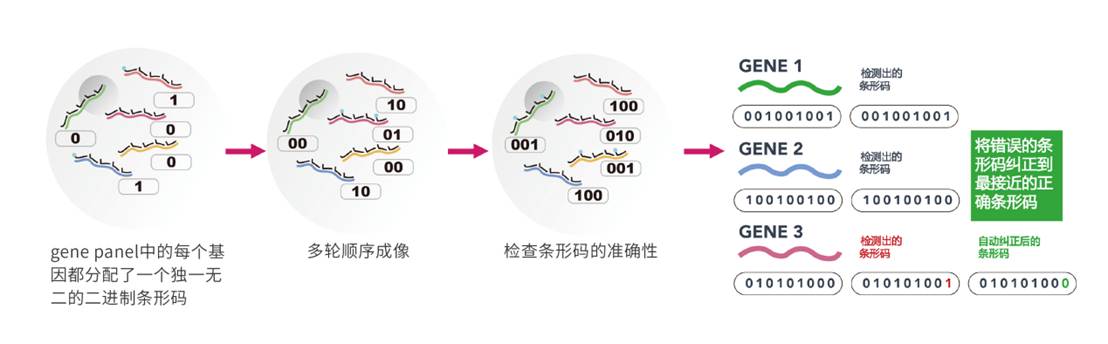 图8. MERFISH 技术原理示意图