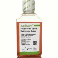 CelliGent 杂交瘤专用胎牛血清（CG0630A/CG0630B）