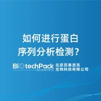 如何进行蛋白序列分析检测？