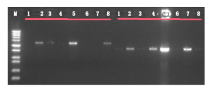 产品细节图片10