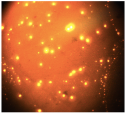 产品细节图片11