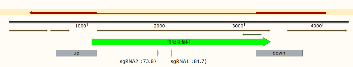产品细节图片14