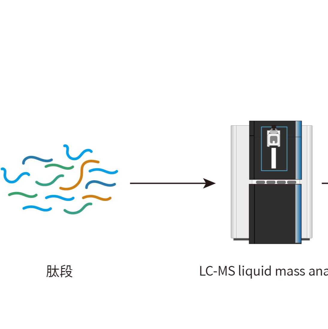 DIA定量蛋白质组检测