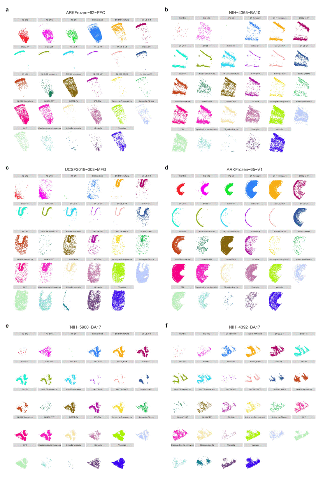 图7. 六个新皮质样本