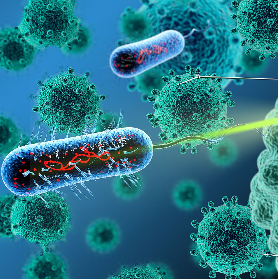 药物递送研发与验证一体化服务平台-细胞水平/动物水平验证