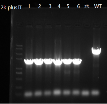 产品细节图片13