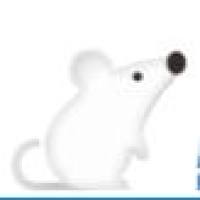 电刺激三叉神经节诱发大鼠偏头痛模型