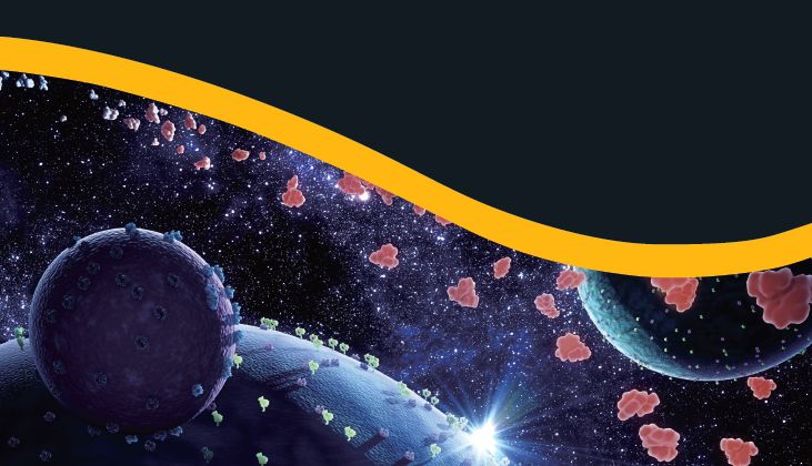 突破表位标签局限，Anti-HiBiT抗体解锁低丰度内源蛋白检测新方案